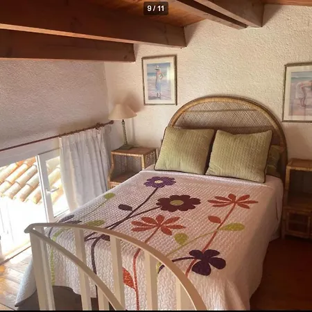 Magnificent A Few Meters From The Sea